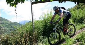 biketouren-sommer-2010-048